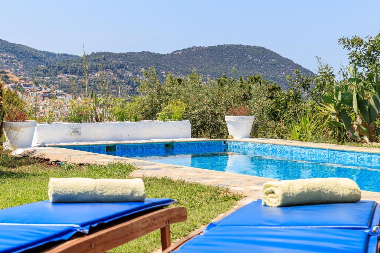 Villa Rodia With Swimming Pool On Skopelos Island Extérieur photo